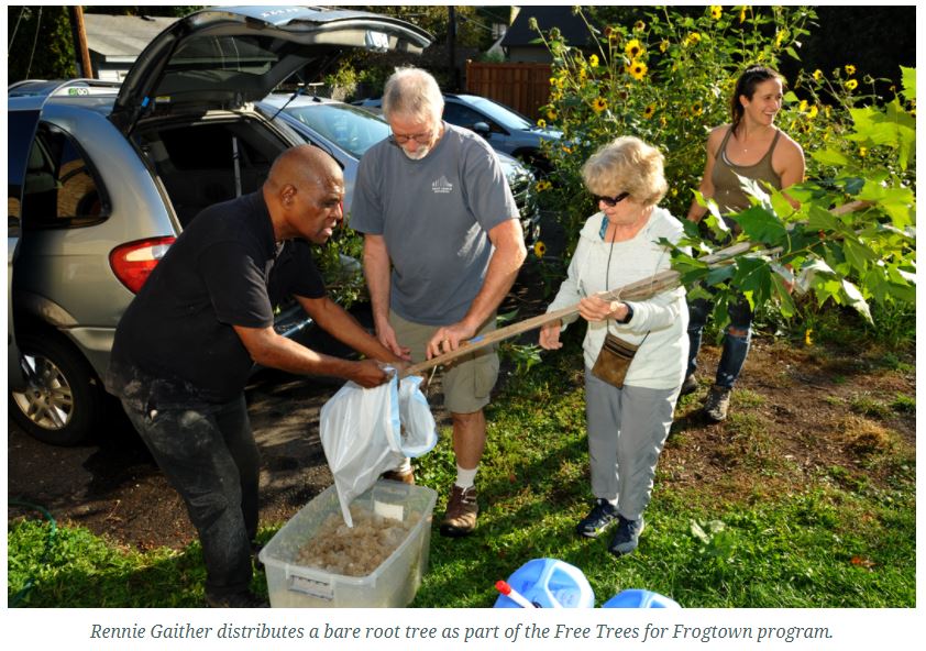 City Solutions Profile: Twin Cities Metro Region Develops Growing Shade Tool for Tree Planting and Maintenance